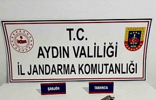 Jandarma ekipleri 7 şüpheliyi gözaltına aldı