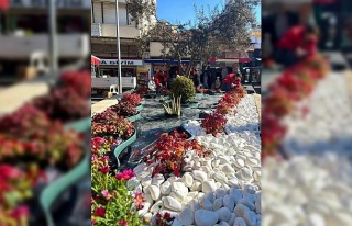 Söke Belediyesi kenti çiçeklerle donatıyor
