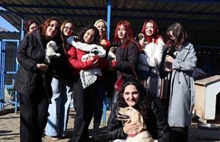 Üniversite öğrencileri Nazilli Belediyesi tesislerini...