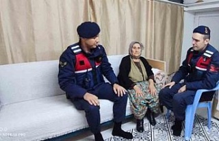 Aydın’da yaşlı çınarlar unutulmuyor