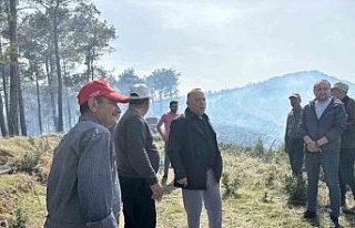 Başkan Özel yangınlara karşı uyardı: "Dikkatli...
