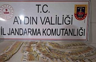 Bozdoğan’da 6 milyon TL’lik hırsızlık