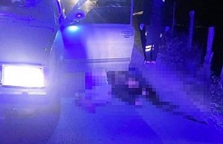 Bozdoğan’da bir kadın başından silahla vurulmuş...