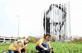 Büyükşehir Aydın’ı doğanın yeşil tonları...