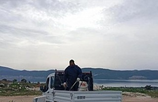 Didim’de mezarlıklar bayrama hazırlanıyor