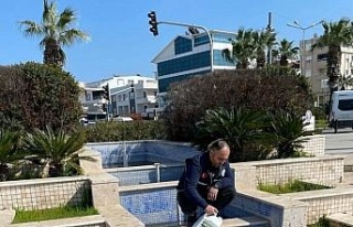 Didim’de süs havuzları bakıma alındı