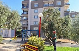 Efeler Belediyesi ilçe genelinde çalışmalarını...