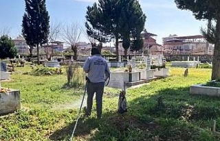 Efeler’in mezarlıklarında bayram hazırlıkları...