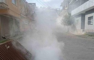 Koçarlı Belediyesi’nden haşere ve yabani otlara...