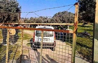 Komşularının dikkati acı gerçeği ortaya çıkarttı