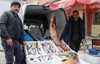 Kuraklık, barajlardaki balık popülasyonu etkiledi