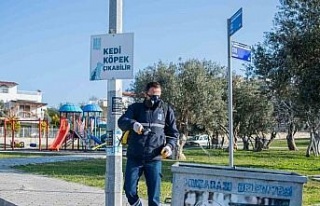 Kuşadası’nda Kadınlar Denizi Mahallesi’de detaylı...