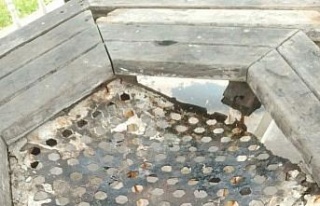Parktaki masanın tahtalarını söküp ateşe verdiler