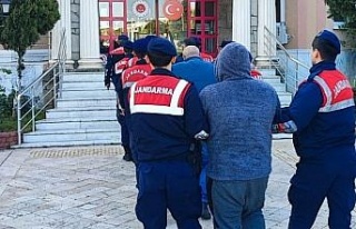 Sit alanı içerisinde kaçak kazı yapan şüpheliler...