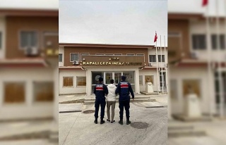 Şüphe üzerine durdurulan araçta 42 düzensiz göçmen...