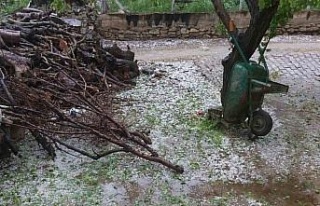 Aydın’da dolu sürprizi