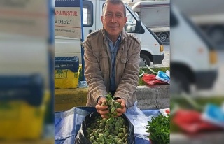 Çağla, Aydın’daki tezgahlarda yerini aldı: Kilosu...