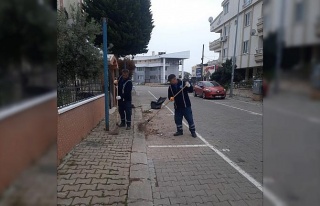 Didim’de temizlik çalışmaları sürüyor