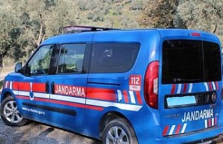 İncir hırsızı 4 şüpheli suçüstü yakalandı
