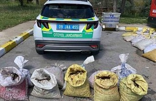 Jandarma 1 ton 800 kilogram salyangoz ele geçirdi