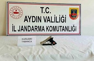 Jandarmadan silah kaçakçılarına operasyon: 10...