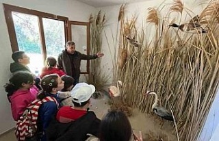 Öğrenciler yaban hayatını yakından tanıdı
