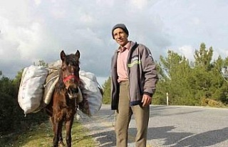 Zeki Amca’nın en büyük yardımcısı küheylanı