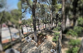 Başkan Ercan’dan ’piknik’ daveti