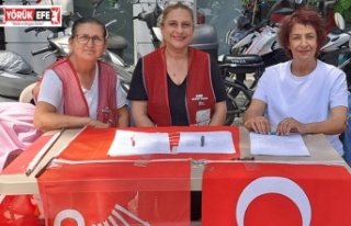 CHP’li Kadınlar İmza İçin Alanlarda
