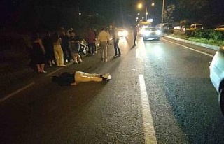 Domuz sürüsüne çarpan motosiklet sürücüsü...