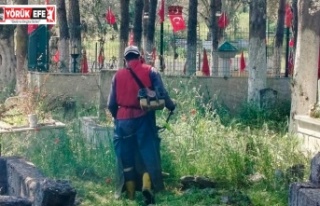 Efeler Belediyesi Mezarlıklarda Bakım Çalışmalarını...