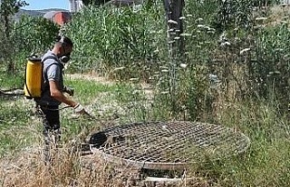 Kuşadası Belediyesi halk sağlığı için vektörel...