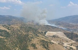 Aydın’da zirai alandaki yangın büyüyor