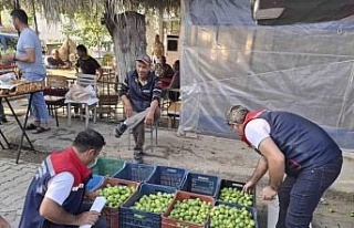 Kuyucak İlek Pazarı’nda denetim ve bilgilendirme
