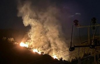 Nazilli’de orman yangını