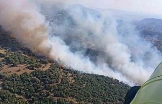 Söke’deki zirai alan yangına havadan yoğun müdahale
