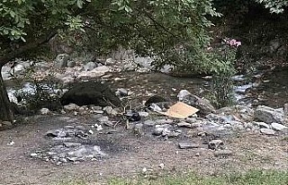 Yasağı delip ormanda mangal yaktılar, jandarmadan...