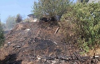 Alevler, evlere ulaşmadan söndürüldü