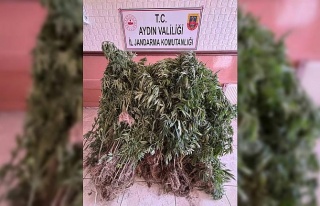 Aydın’da uyuşturucu tacirlerine operasyon