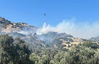Aydın’daki yangında 2 kişi gözaltına alındı