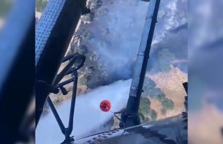 Aydın zirai alan yangını kontrol altına alındı