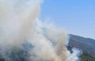 Aydın’da zirai alan yangını