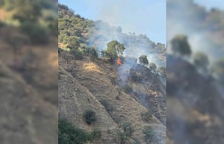 Buharkent’te orman yangını