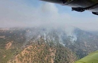 Denizli’den Aydın’a sıçrayan yangında müdahale...