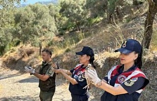 Doğa koruma faaliyetinde 25 bıldırcın ve 21 keklik...