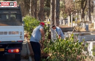 Efeler Belediyesi’nden Tellidede Mezarlığı'nda...