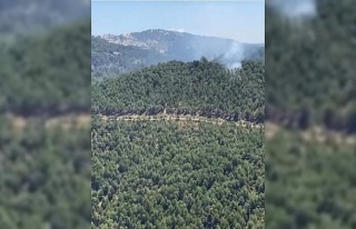 Ekiplerin anında müdahalesi felaketi önledi