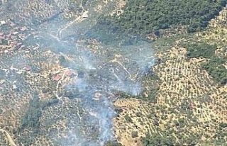 Germencik’te orman yangını