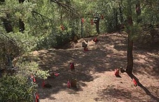 Gözpınar’da şehitler için anma töreni düzenlenecek