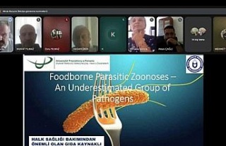 ADÜ’den uluslararası online konferans